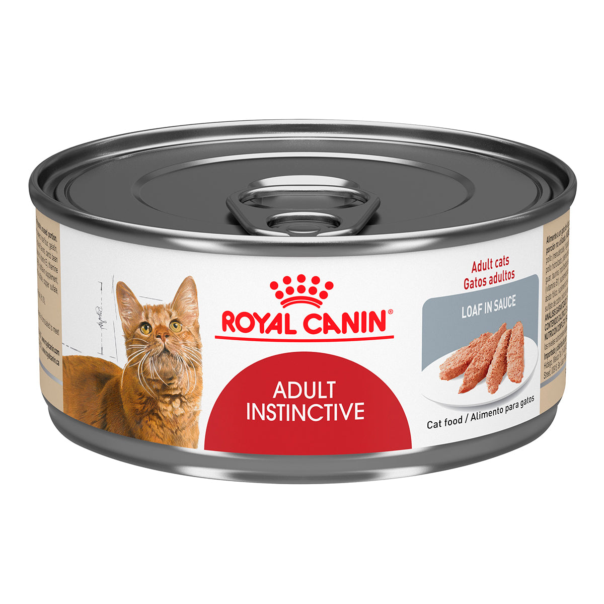 Royal Canin Húmedo de Mantenimiento Gato
